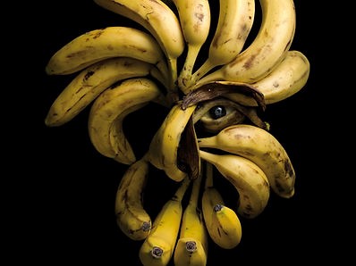 Bananen sind zu einem Kopf im Profil mit wildem Haarschopf zusammengelegt. Eine schwarze Perle deutet ein Auge an.